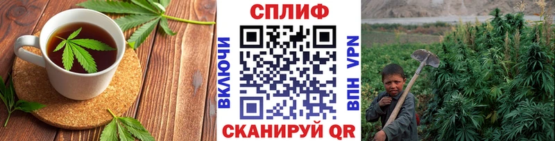 Еда ТГК марихуана  Купить  Лесосибирск 