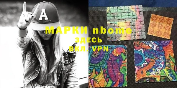 молекула духа Снежногорск