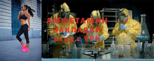 молекула духа Снежногорск