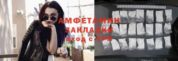 молекула духа Снежногорск
