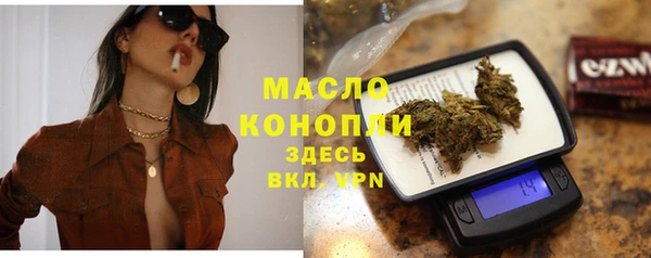 молекула духа Снежногорск