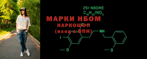 молекула духа Снежногорск