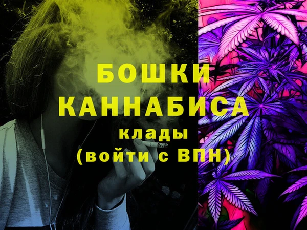 молекула духа Снежногорск