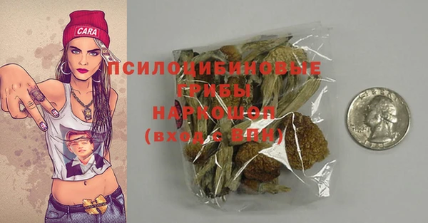 молекула духа Снежногорск