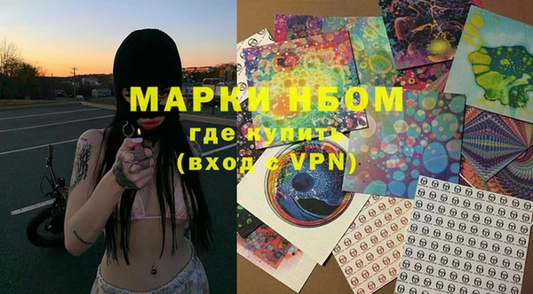 молекула духа Снежногорск