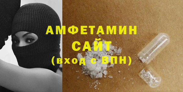 молекула духа Снежногорск