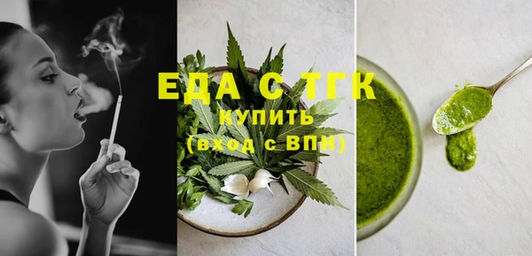 молекула духа Снежногорск